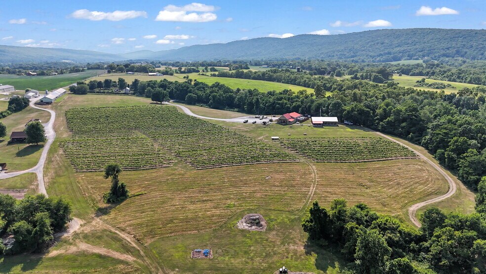 More Photos Of 3 Orchard Rd, Liverpool Winery Vineyard For Sale