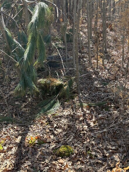 More Photos Of 0 Harrison Rd, Thomson Land For Sale