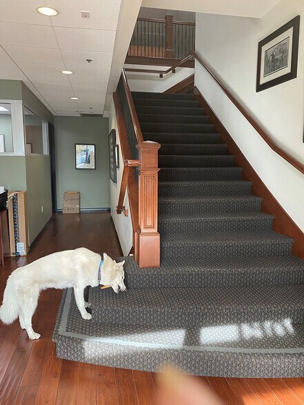 More Photos Of 19835-19839 Nordhoff St, Northridge Office For Sale