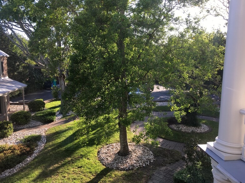 More Photos Of 635 E Bay St, Charleston Office Residential For Lease