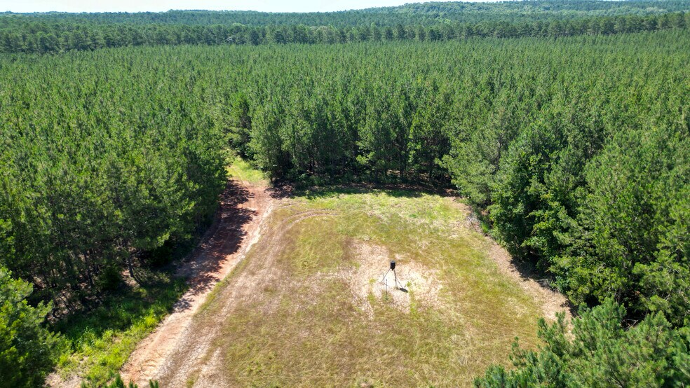 More Photos Of NPA, Abbeville Land For Sale