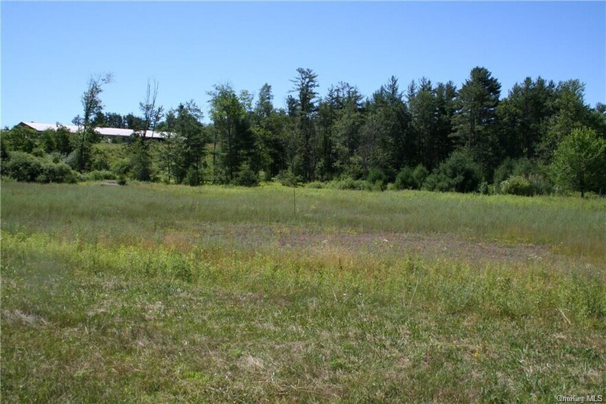 More Photos Of 14.6 Acres 17B rt, Monticello Land For Sale
