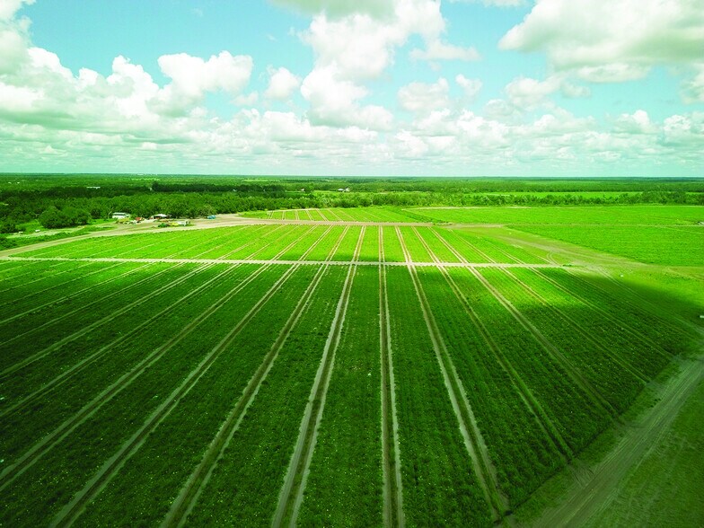 More Photos Of 40105 Ballard Rd, Myakka City Land For Lease