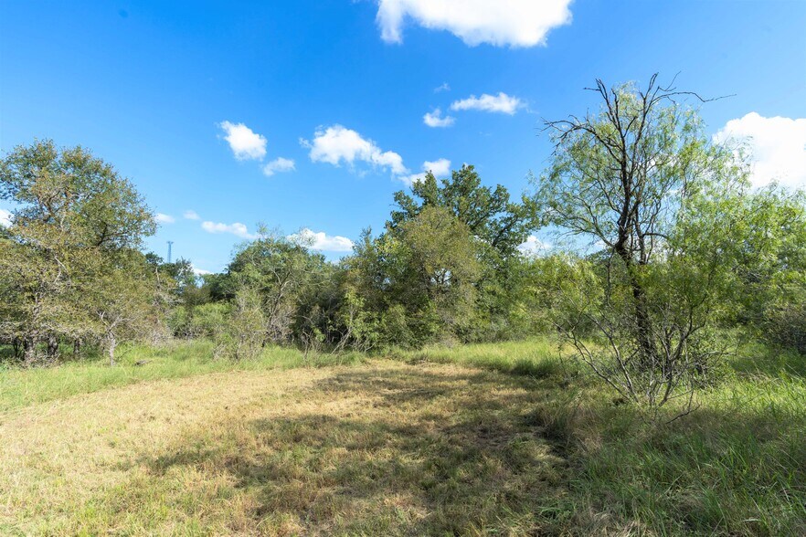 More Photos Of S Hwy 183, Lockhart Land For Sale