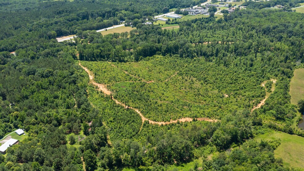 More Photos Of 23425 US Highway 76, Clinton Land For Sale