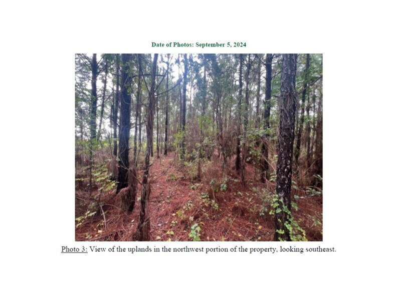 More Photos Of 3501 Masters Rd, Jacksonville Land For Sale