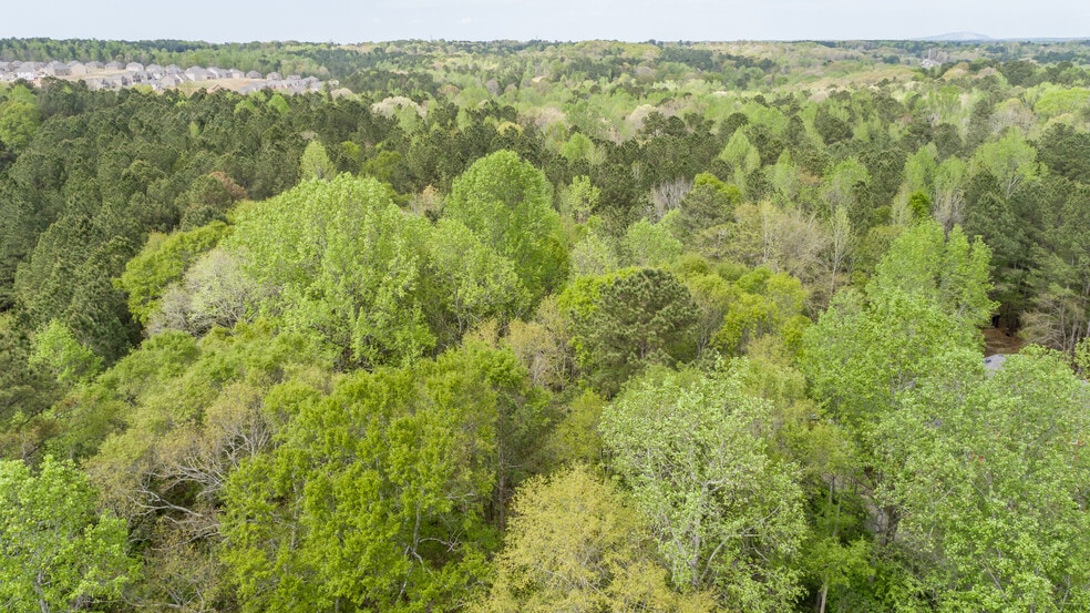 Primary Photo Of 3607 Masters rd, Ellenwood Land For Sale