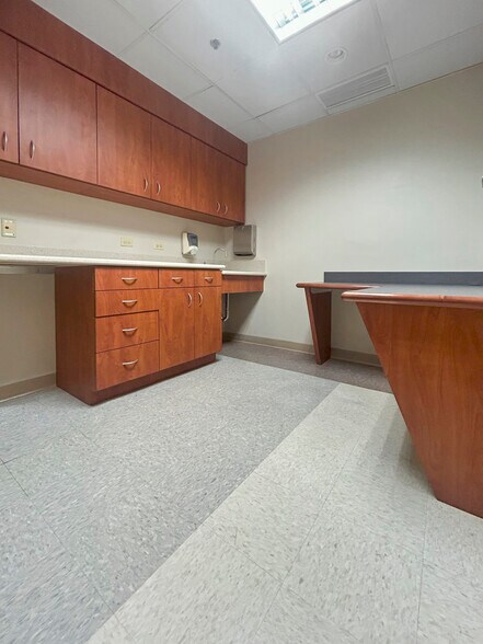 More Photos Of 333 Chestnut St, Hinsdale Medical For Lease