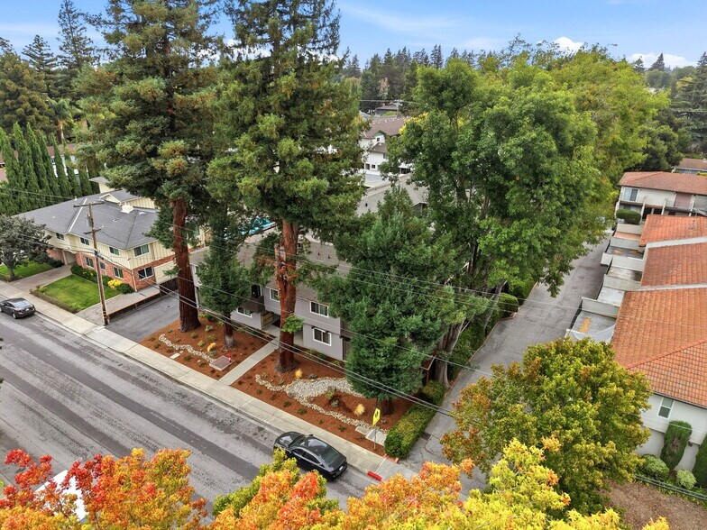 More Photos Of 239 Easy St, Mountain View Apartments For Sale