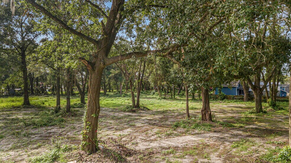 More Photos Of 1202 S Walker St, Plant City Land For Sale