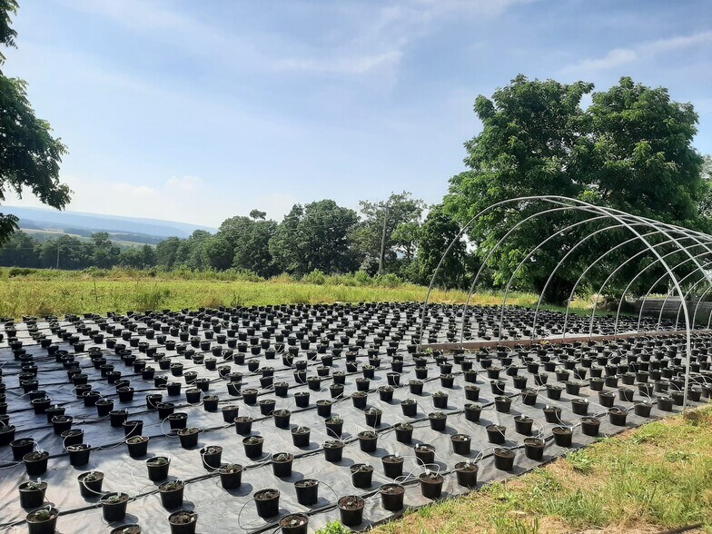 More Photos Of 1814 Iron Bridge Rd, Hustontown Contractor Storage Yard For Sale