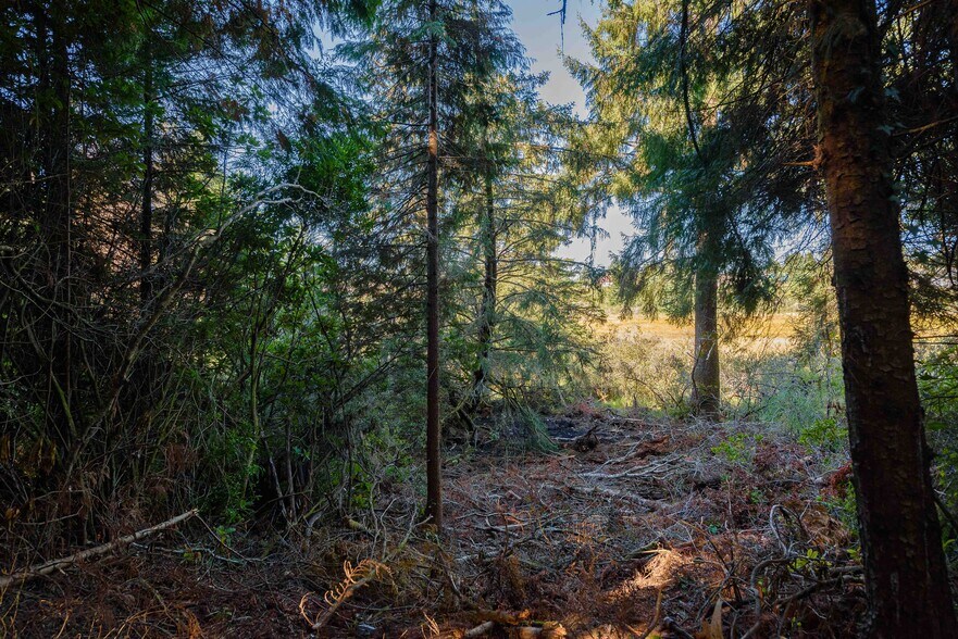 More Photos Of 0 Newmark ave, North Bend Land For Sale