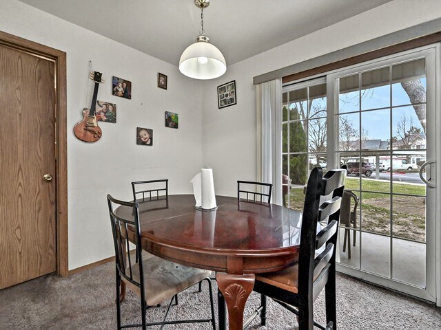 More Photos Of 10673 W Halstead Ln, Boise Specialty For Sale