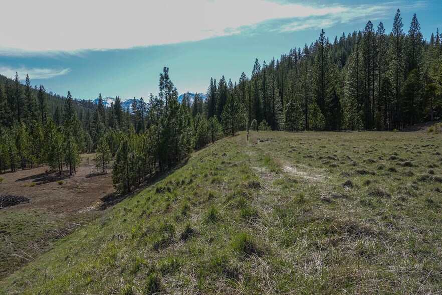 More Photos Of 6409 Kangaroo Creek Rd, Gazelle Land For Sale