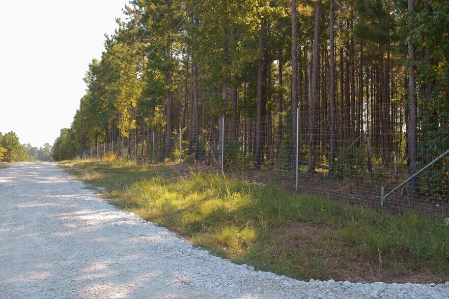 More Photos Of 18618 Hwy 43, Linden Land For Sale