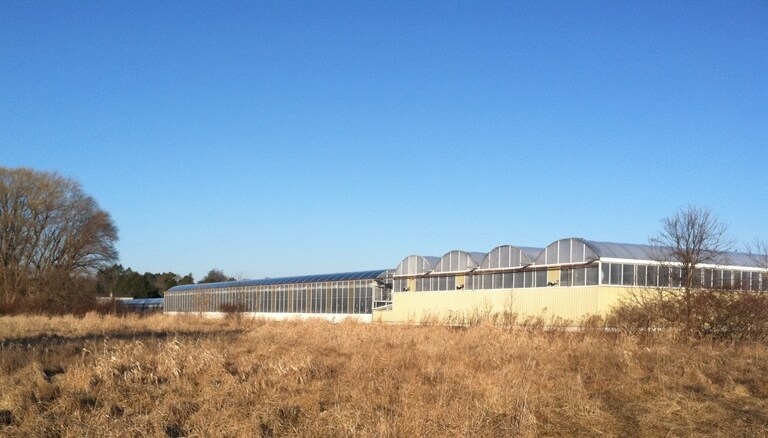 More Photos Of 609-621 E Maple Ave, Newark Light Manufacturing For Lease