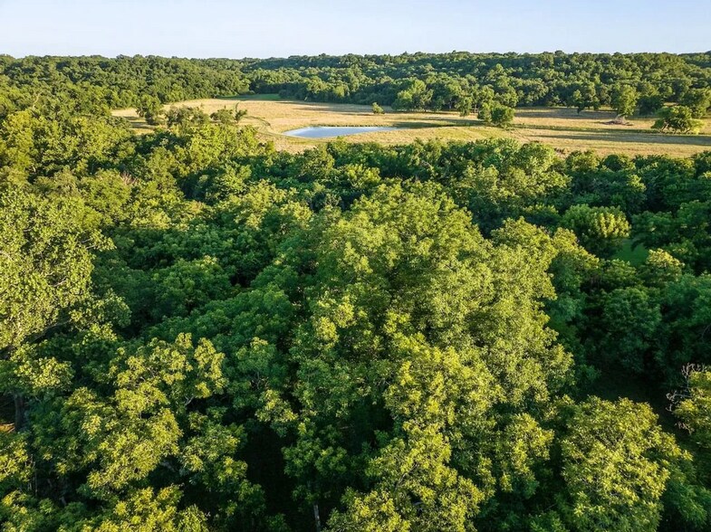 More Photos Of 0 County Road 328, Era Land For Sale