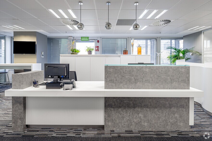 More Photos Of 93 Paseo Castellana, Madrid Coworking Space