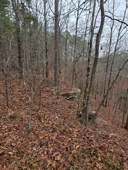 More Photos Of 221 East Lane Ln, Oneonta Land For Sale