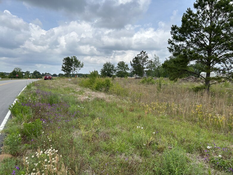 Primary Photo Of 45 New Castle, Sandersville Land For Sale