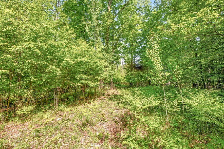 More Photos Of V/L 220th Ave, Big Rapids Land For Sale