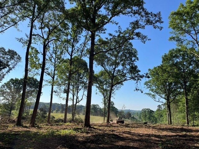 More Photos Of 1801 W Maiden Rd, Maiden Land For Sale