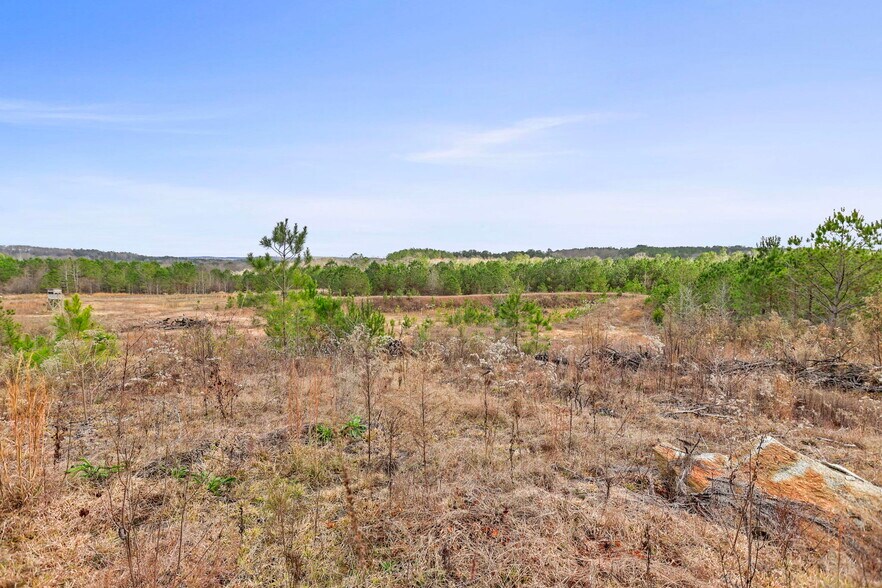 More Photos Of 16.31+/- AC Franklin Parkway Franklin GA 30217, Franklin Land For Sale