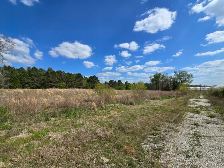 More Photos Of 11888 County Road 345, Winona Land For Sale