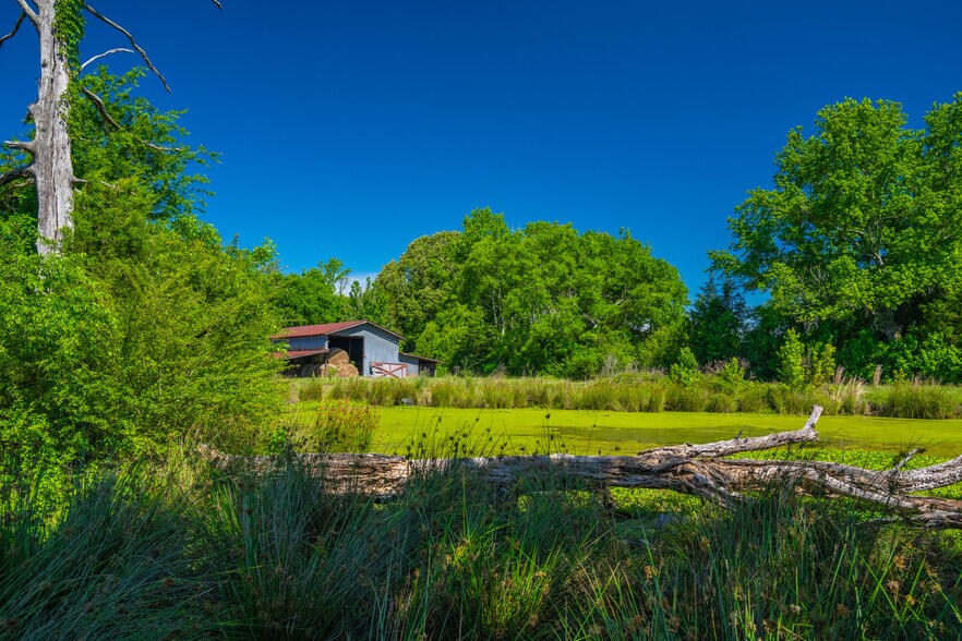 More Photos Of County Road 2592, Marietta Land For Sale
