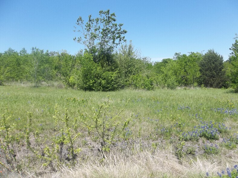 More Photos Of 38 Acres Dobbins rd, Corsicana Land For Sale