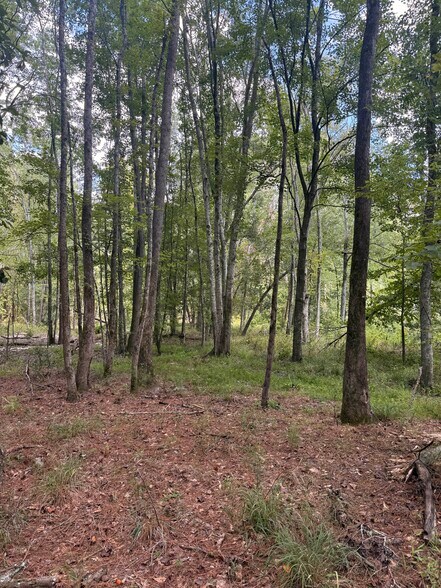 More Photos Of 333 Samuel Dr, Springfield Land For Sale