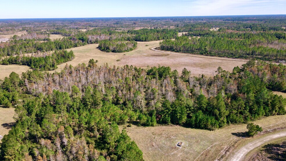 More Photos Of 4597 State 24 rd, Bronson Land For Sale