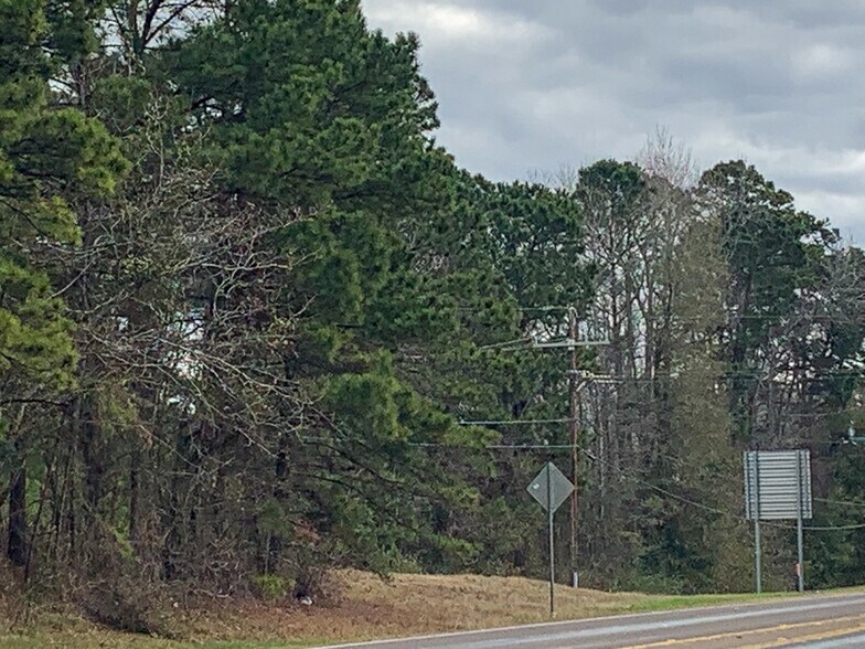 More Photos Of Highway 190, Huntsville Land For Sale