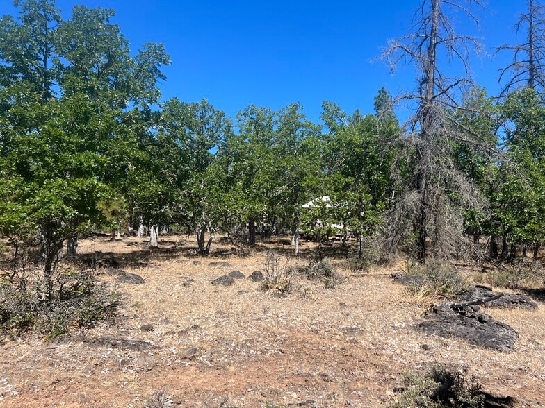 More Photos Of 407 Blue Spruce, Goldendale Land For Sale
