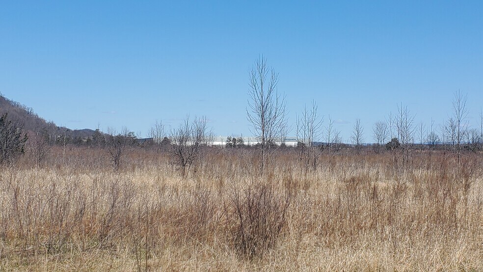 More Photos Of Old Plank Rd, Coxsackie Land For Sale