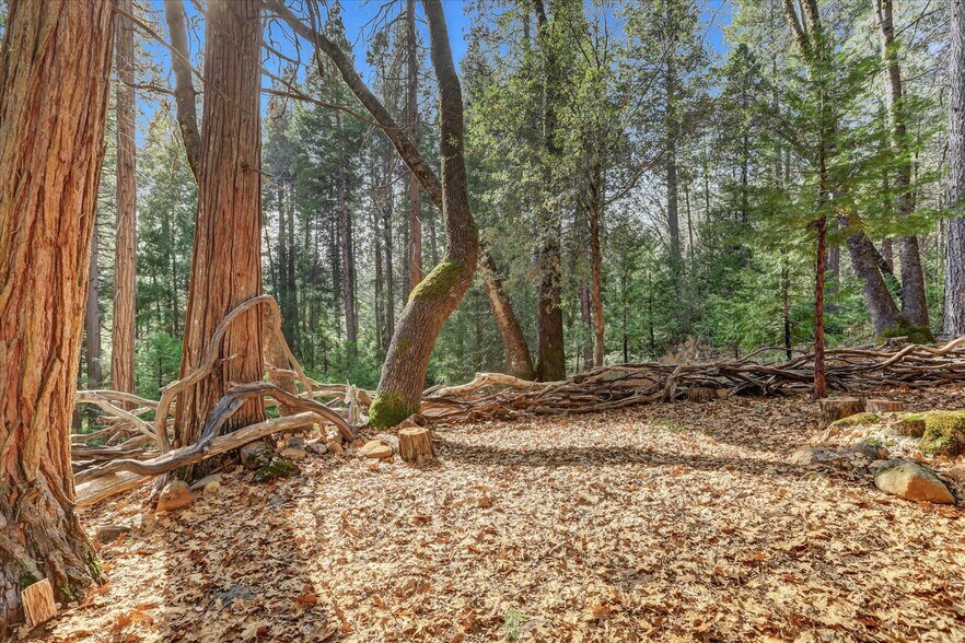 More Photos Of 14724 N Bloomfield Rd, Nevada City Flex For Sale