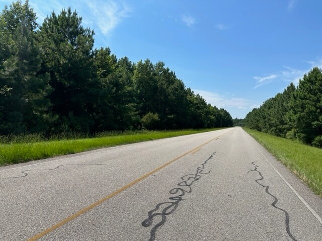 More Photos Of NC Hwy 94, Creswell Land For Sale