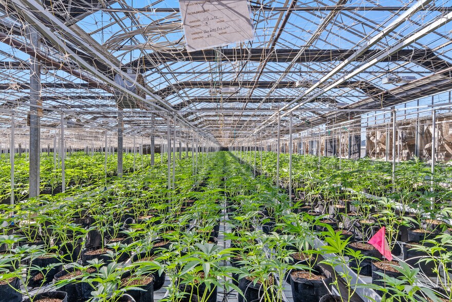 Primary Photo Of 481-570 San Andreas Rd, Pajaro Land For Sale