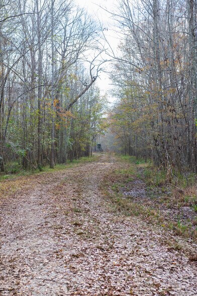 More Photos Of 409 Windward Ave, Orangeburg Land For Sale