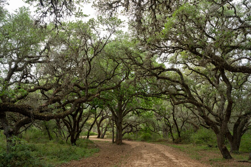 More Photos Of CR 19, Hallettsville Land For Sale