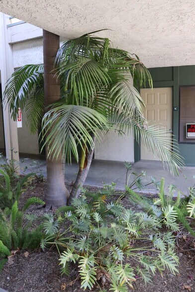 More Photos Of 770 Magnolia Ave, Corona Medical For Lease