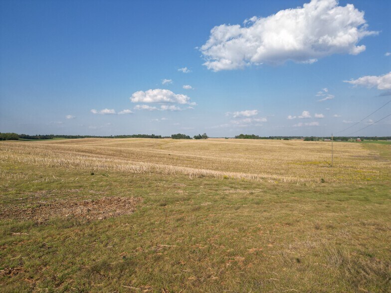 More Photos Of 163 McCandless Rd, Upton Land For Sale