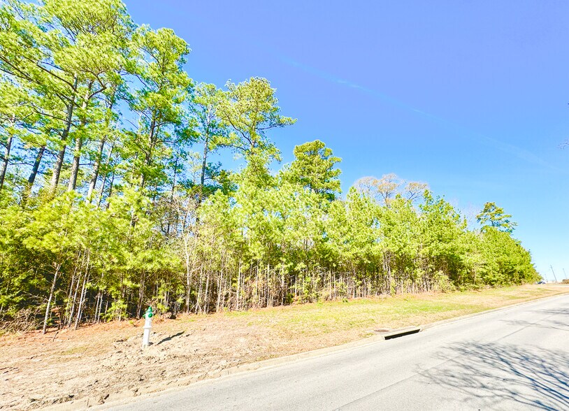 More Photos Of 107 Ac Veterans Memorial Pkwy, Huntsville Land For Sale