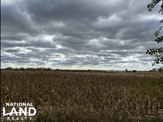 More Photos Of 820 Johnson Ave SW, Cokato Land For Sale