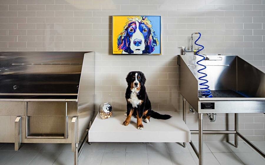 More Photos Of 555 President St, Baltimore Apartments For Lease