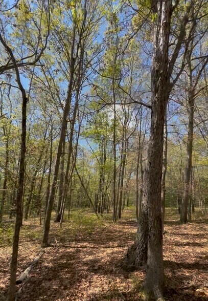 More Photos Of 17 McKay st, Norwich Land For Sale
