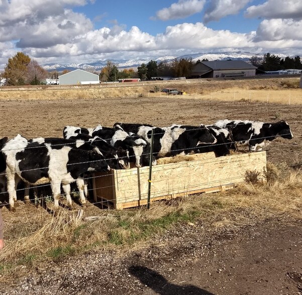 More Photos Of 5853 W Gowen Rd, Boise Land For Sale