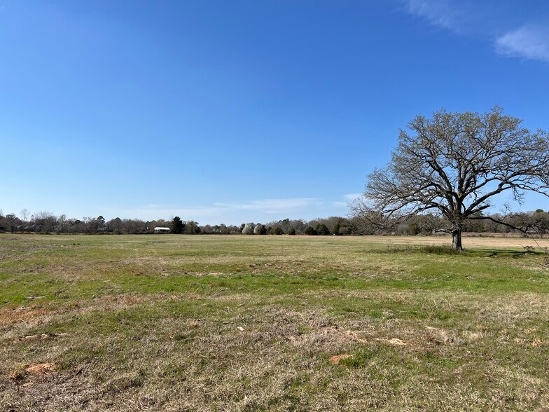 More Photos Of 12813 County 2133 rd, Whitehouse Land For Sale