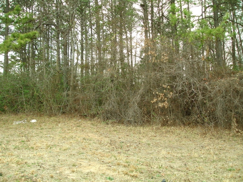 More Photos Of 1561-1565 Moreland Ave, Atlanta Land For Sale
