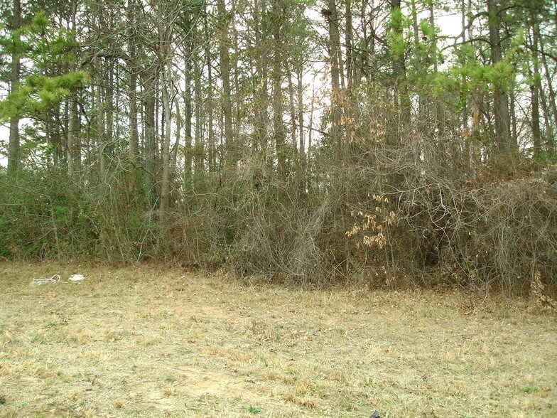 More Photos Of 1561-1565 Moreland Ave, Atlanta Land For Sale